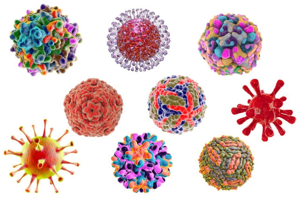 Wirusy podbijają komórki
