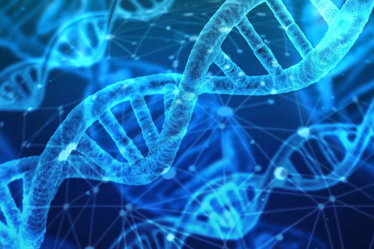 Czym są badania genetyczne?